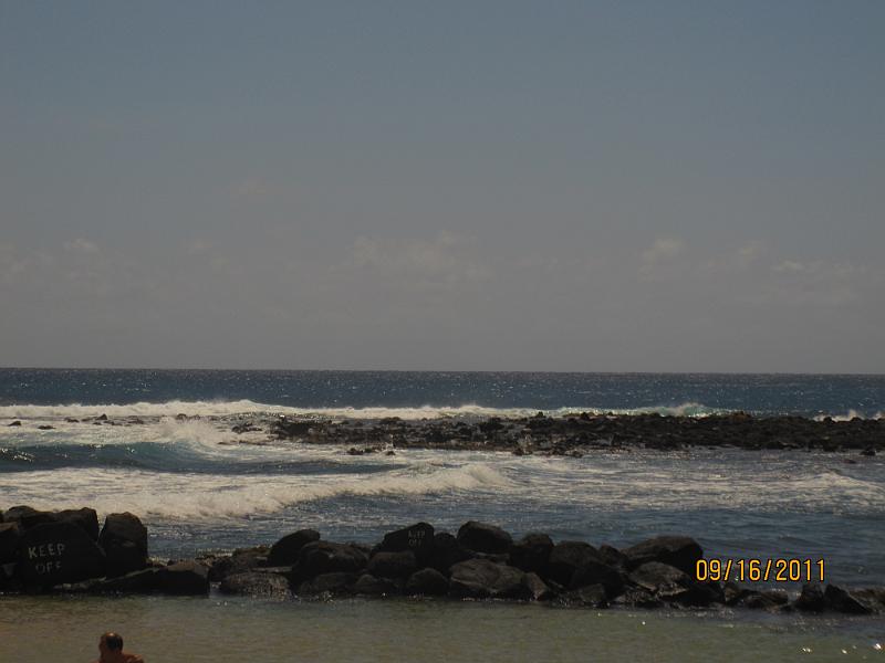 Picture 049
